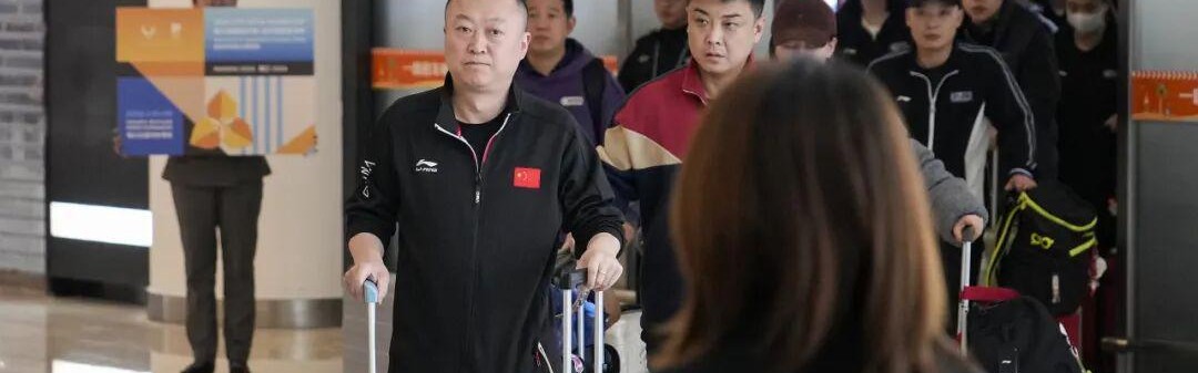 开云-王楚钦、孙颖莎即将复出！