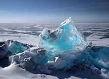 开云体育-【早报】老中青神锋艺能展示？伊布：我先梅开为敬！