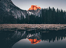 博鱼APP：让娱乐与智能下注同行的新体验